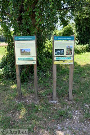 Informativni tabli - Mejice in travniki, Ostanek poplavnega gozda