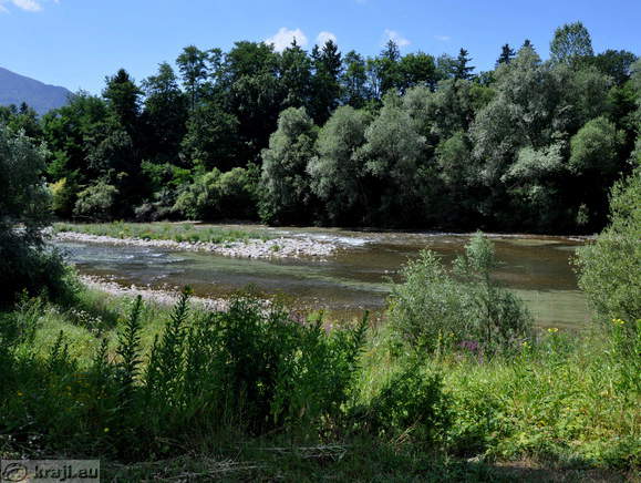 Reka Savinja na levi strani