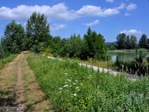 Ribnik Vrbje na desni strani