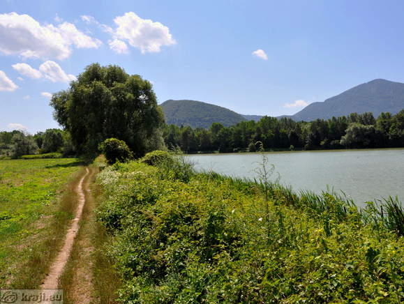 Krožna pot okrog ribnika Vrbje