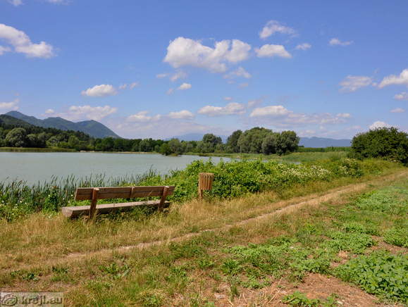 Ribnik Vrbje pri Žalcu