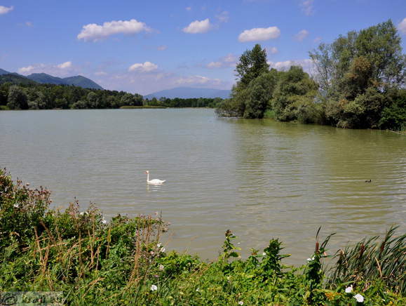 Vrbje Teich