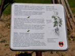 Hop - Information board -  Hop 