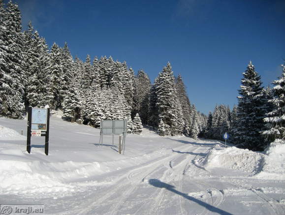 Road to the Koca na Klopnem vrhu Mountain Hut