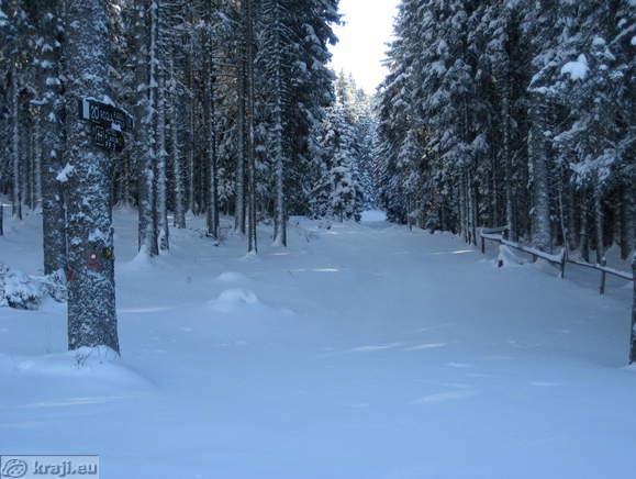 Footpath to lookout tower and Rogla