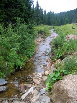 Potok v bližini jezera