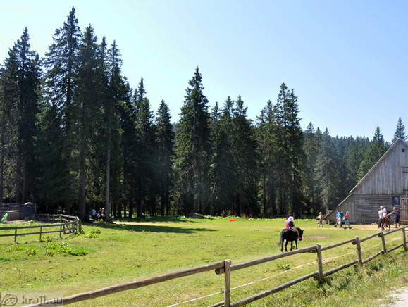 Rogla - Pohorsko kmečko dvorišče