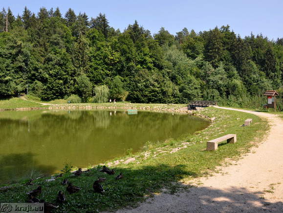 South side of the Zrece Lake