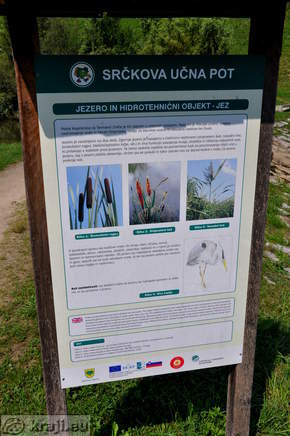 Heart Trail - Lake - Dam