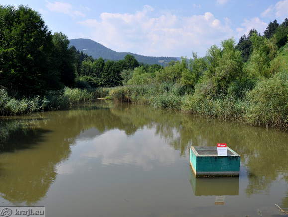 Upper part of the Zrece Lake
