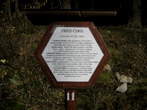 Imkerei-Lehrpfad - Cerknica See - Imkerei-Lehrpfad 