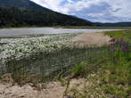 Lake Cerknica in summer - The intermittent Lake Cerknica 