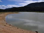 Lake Cerknica in summer - Banks of the Lake Cerknica 