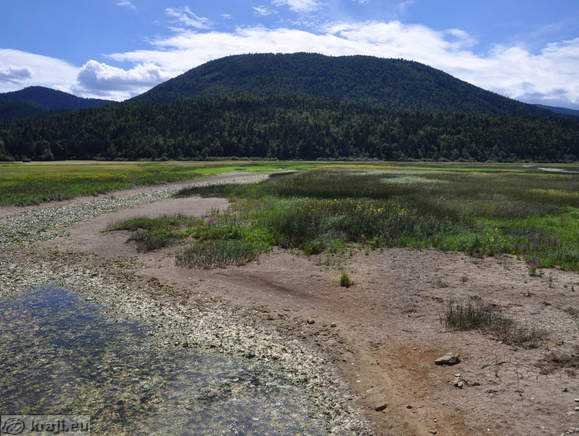 Strzen Stream from the road in the middle of the Lake Cerknica