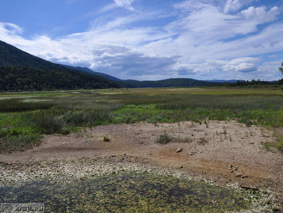 Lake Cerknica in summer