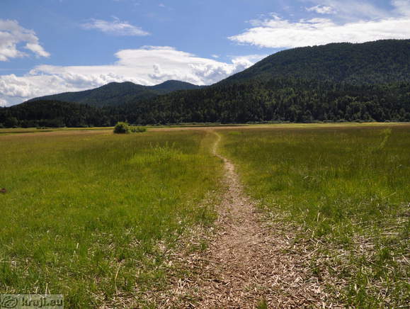 Footpath on the Lake Cerknica in summer