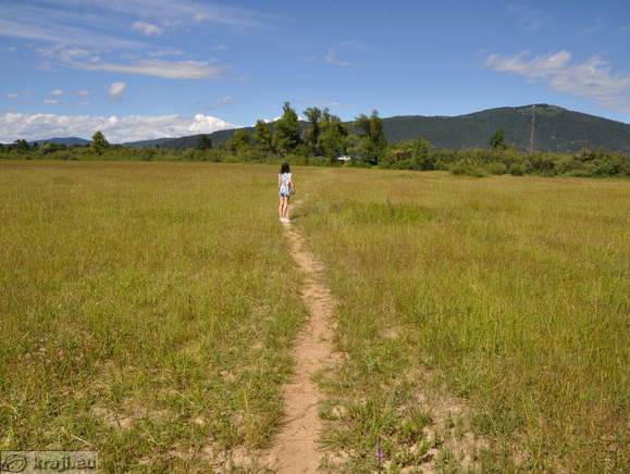 View back to the road and Slivnica hill