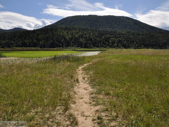 Arrival to the Strzen Stream