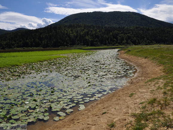 Footpath along the Strzen Stream in summer
