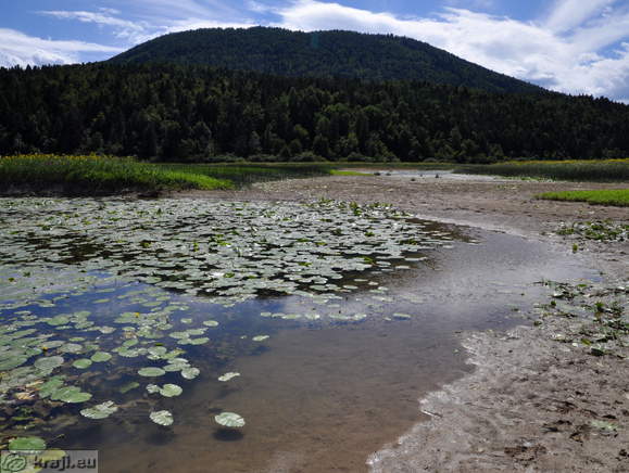 Strzen Stream in summer time