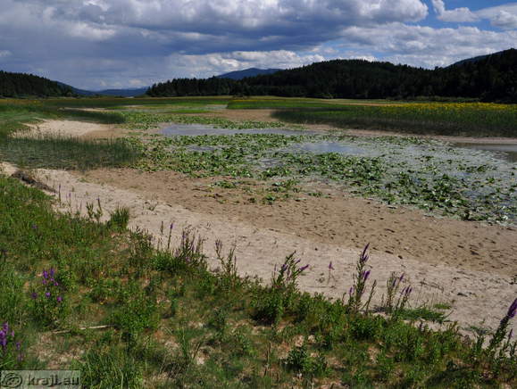 Strzen Stream before outflow in Lake Cerknica in summer