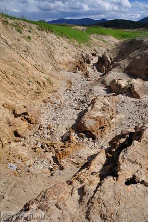 Reseto - Lake Cerknica