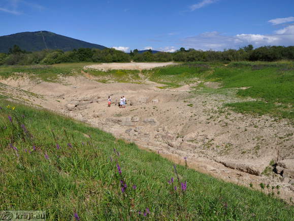 Reseto in the summertime