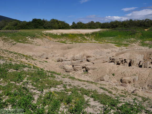 Sinkholes on Lake Cerknica
