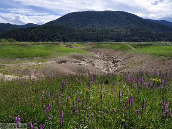 Blooming meadows around Reseto