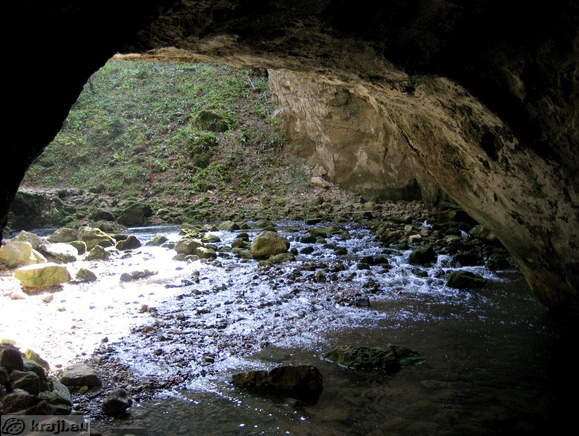 Pogled iz jame med udornicama