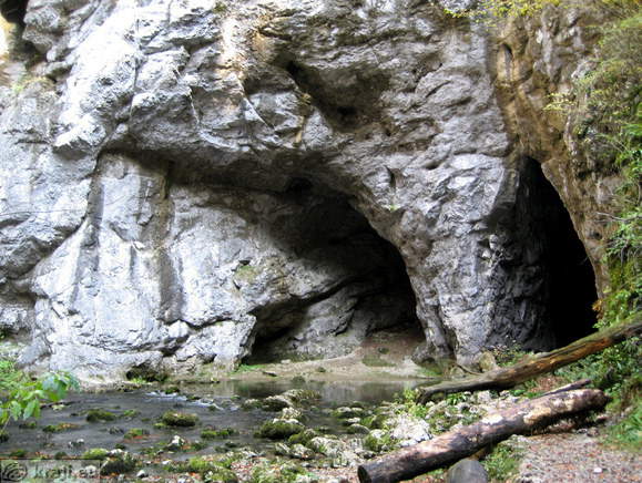 Potok Rak ob udornici