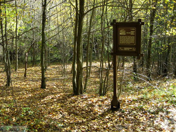 Obrečni poplavni gozd - vrbovje - Informacijska tabla