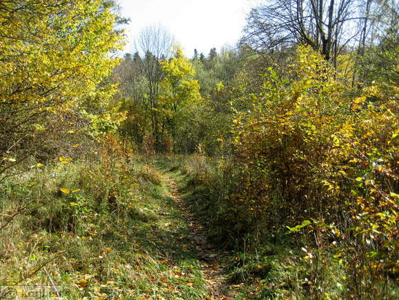 Učna pot po Rakovem Škocjanu