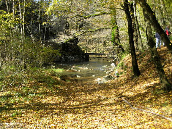 Prihod do potoka in brv v ozadju