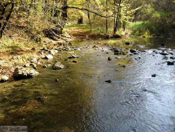 Pogled na potok Rak z brvi
