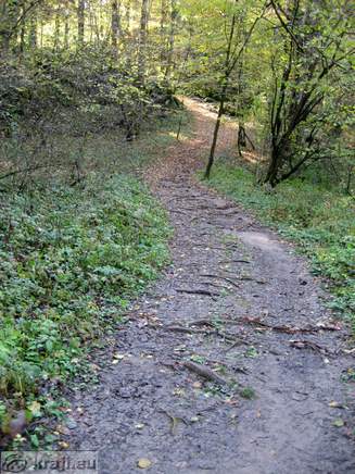 Pot proti Hotelu Rakov Škocjan
