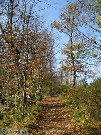 Rakov Skocjan - Die Ruinen der Kirche von St.. Kanzian