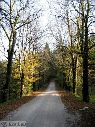Rakov Skocjan - Die Ruinen der Kirche von St.. Kanzian