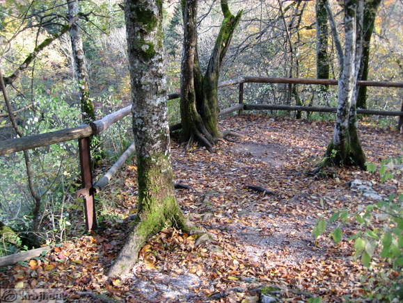 Vista platform