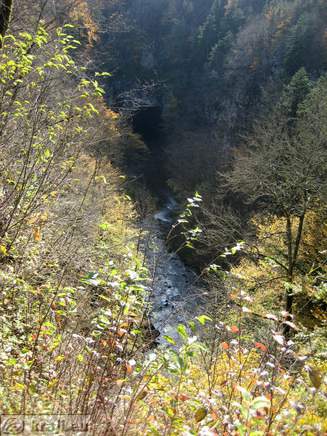 View of river Rak and Tkalca cave in background where river Rak sinks