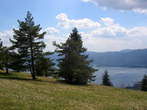 Slivnica - View of Lake Cerknica is almost all the time on the way to Slivnica 