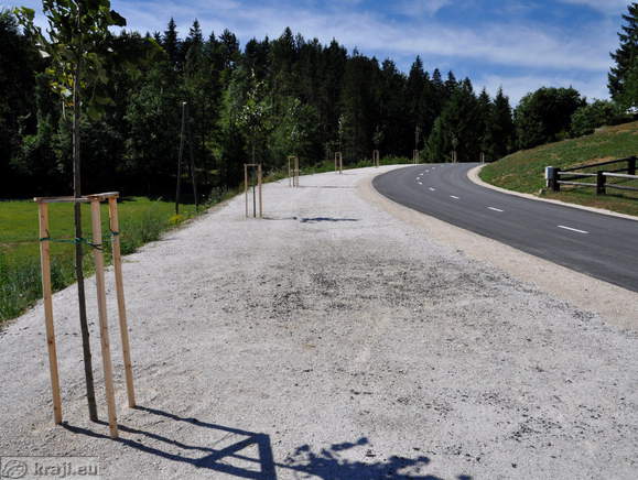 Parkirišča ob cesti