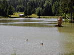 Medved smučar - Bloško jezero in medved smučar 