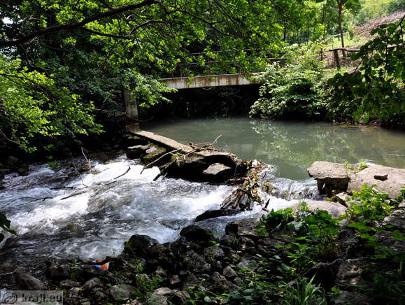 Neighbourhood of the Dujc Watter-Mill