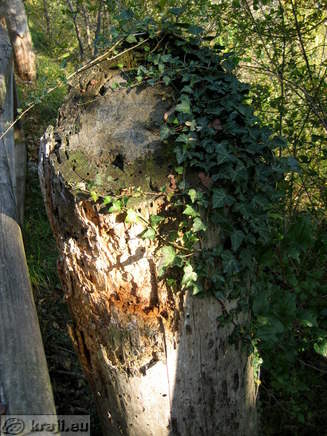 Skocjan Naturlehrpfad