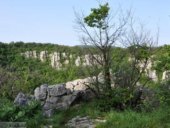 Udorna dolina Risnik pri Divači