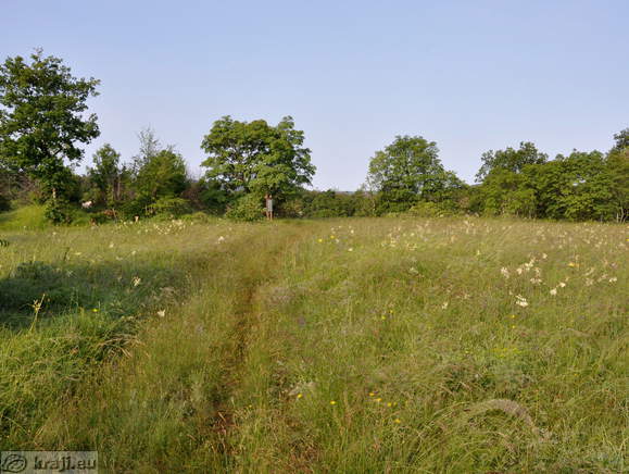 Naravoslovno učna pot pri Divači