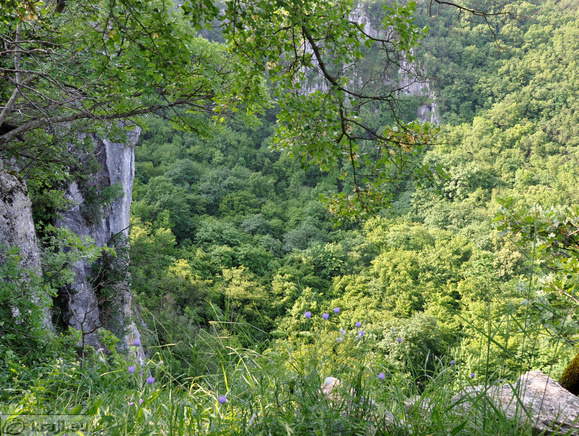 Pogled v udorno dolino