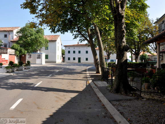 Road through Gorjansko