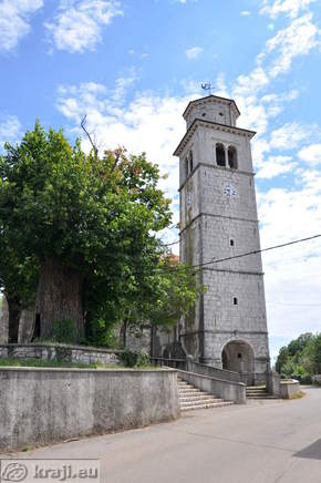 Stara lipa in cerkev